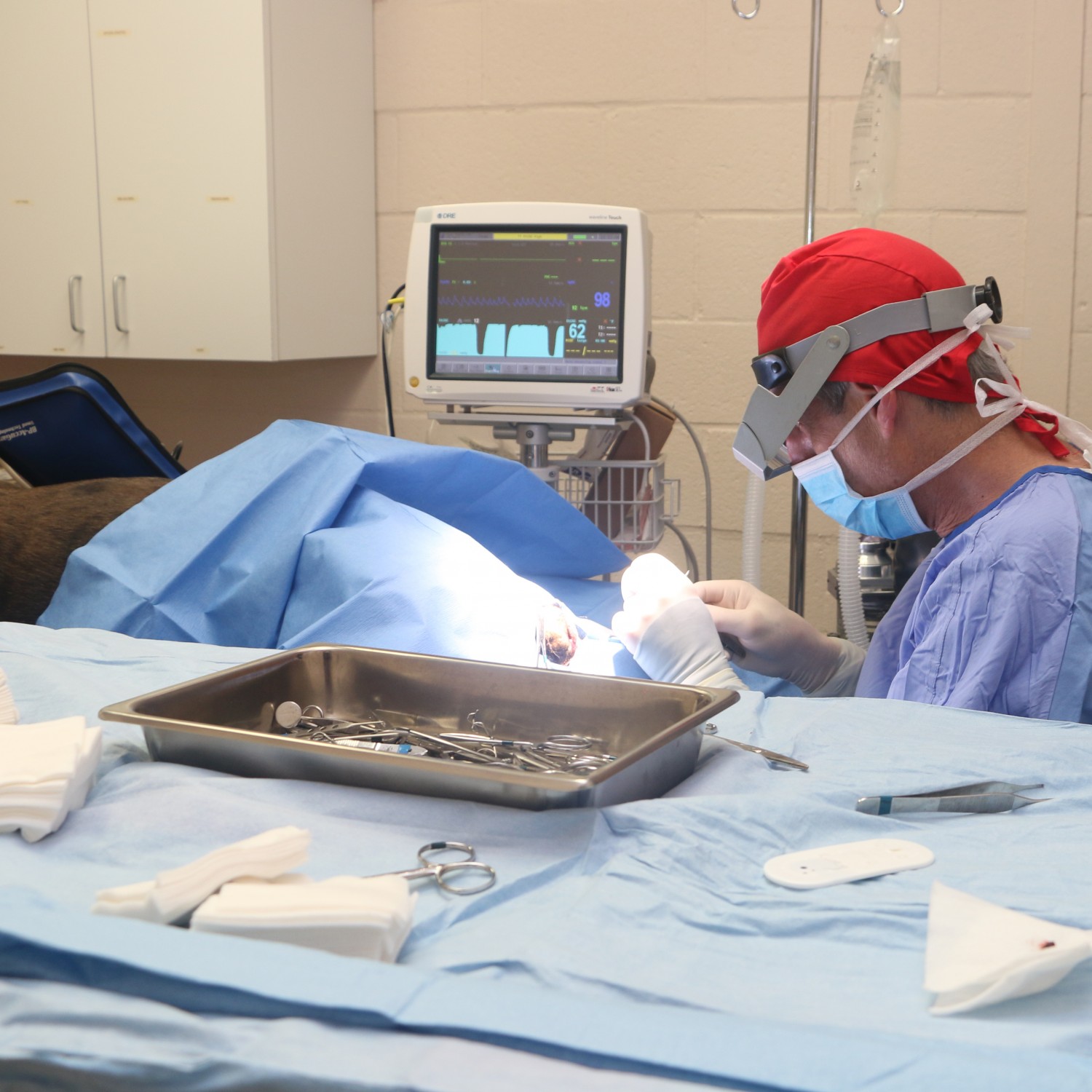 a vet wearing hat and goggles while performing surgery