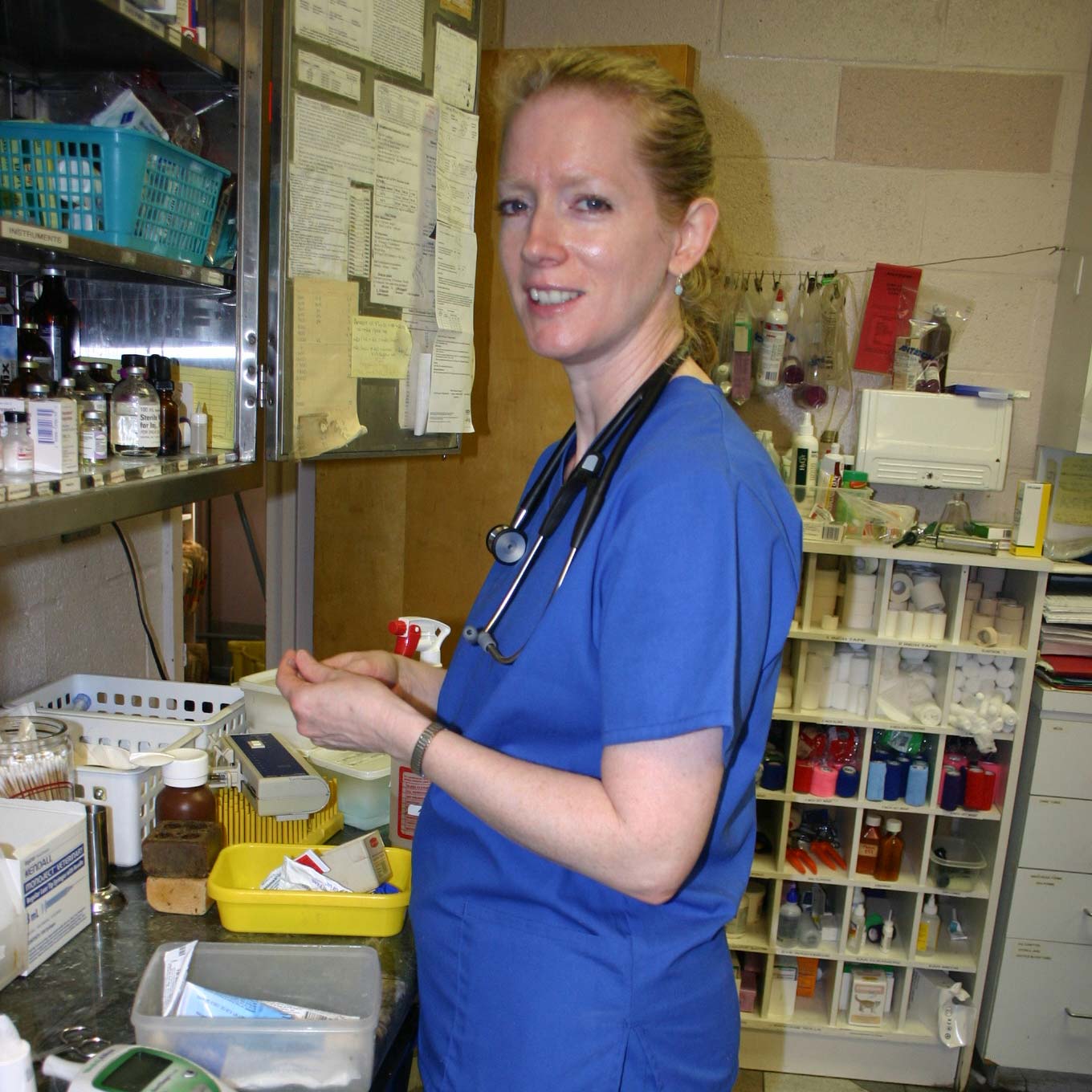 a vet in a blue scrubs