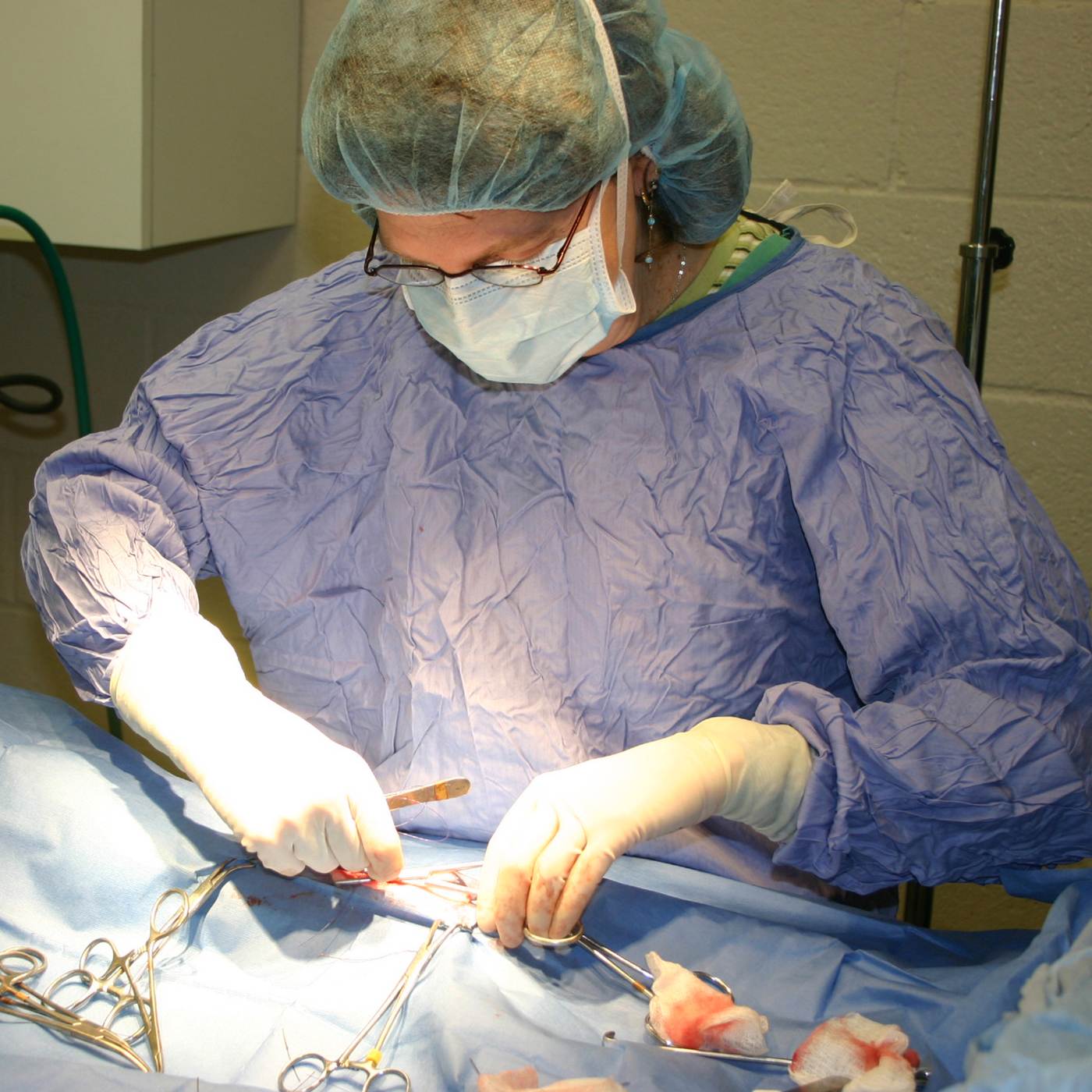 a vet in surgical gown performing surgery